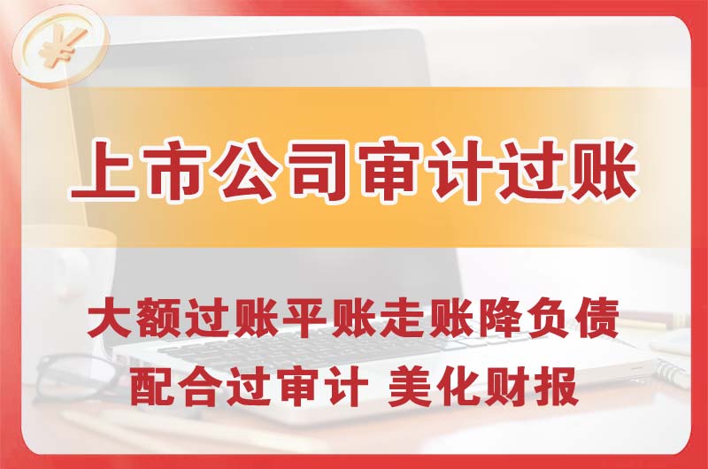 禹城上市公司审计过账